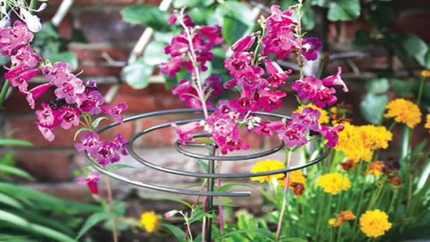 garden plant support garden plant support